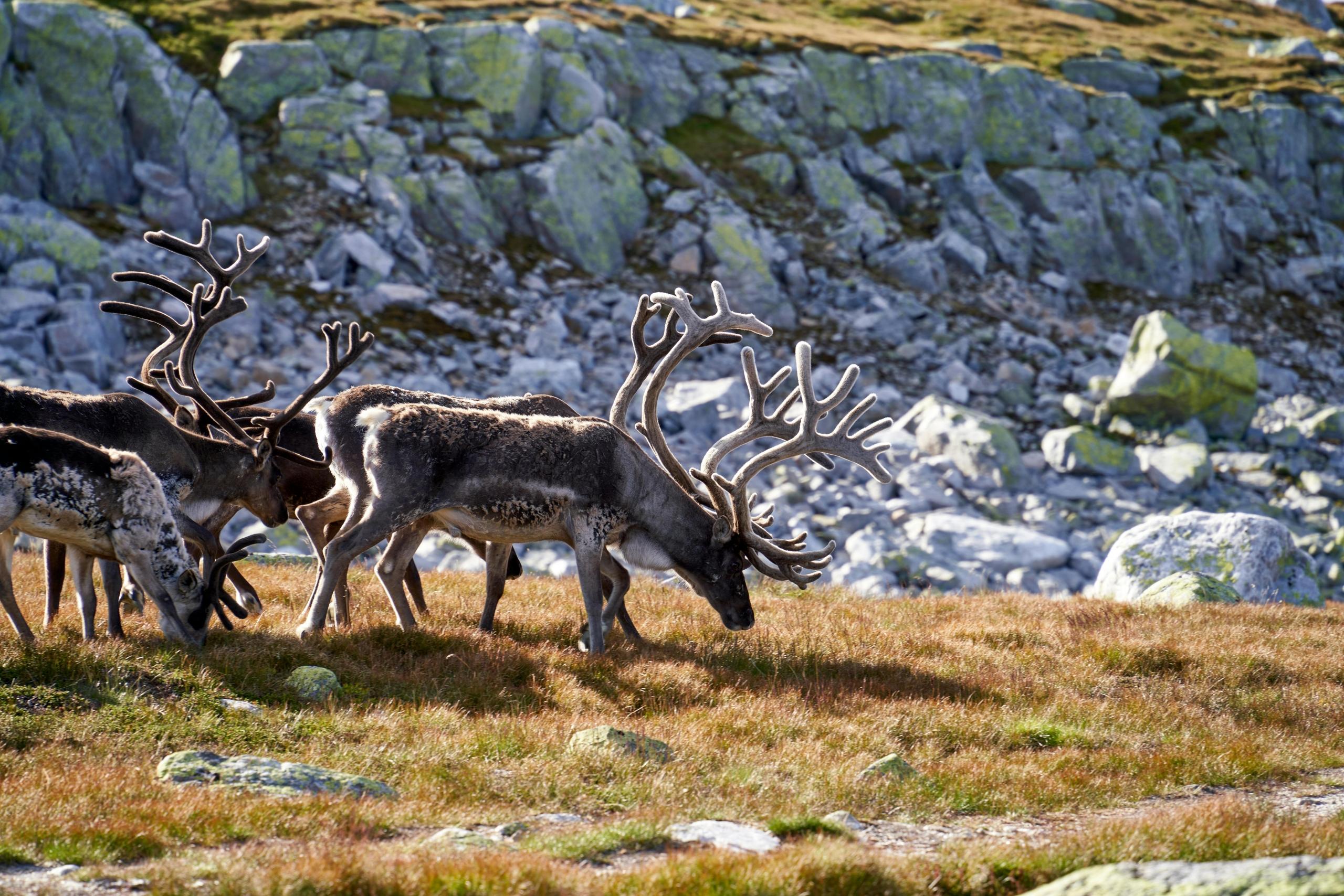 Northwest Territories