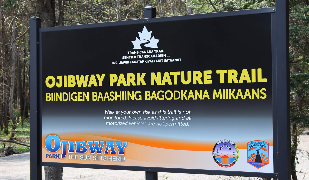 Ojibway Park Nature Trail